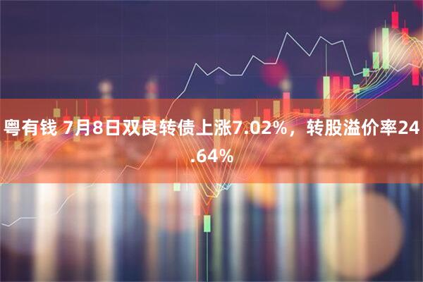 粤有钱 7月8日双良转债上涨7.02%，转股溢价率24.64%
